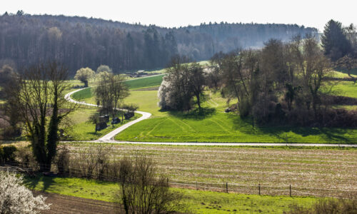 Wir wandern mit Olav Gutting MdB